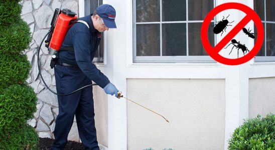 Sivas Karınca İlaçlama böcek ilaçlama ve haşere kontrolü — ilaclama-tr.com